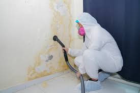 Best Mold Prevention Services  in Harvey, IL